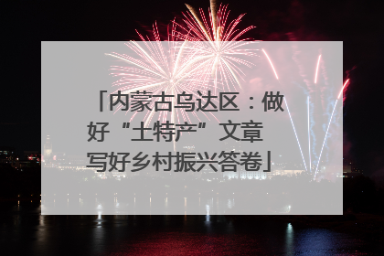 内蒙古乌达区：做好“土特产”文章 写好乡村振兴答卷