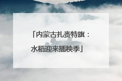 内蒙古扎赉特旗：水稻迎来插秧季