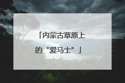 内蒙古草原上的“爱马士”
