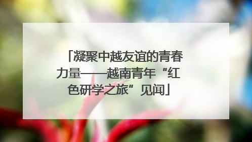凝聚中越友谊的青春力量——越南青年“红色研学之旅”见闻