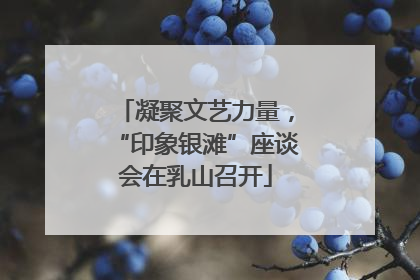 凝聚文艺力量，“印象银滩”座谈会在乳山召开