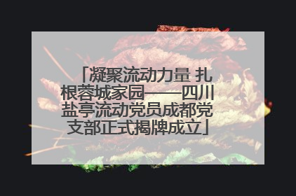 凝聚流动力量 扎根蓉城家园——四川盐亭流动党员成都党支部正式揭牌成立