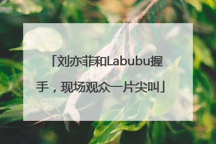 刘亦菲和Labubu握手，现场观众一片尖叫