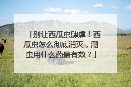 别让西瓜虫肆虐!西瓜虫怎么彻底消灭,潮虫用什么药最有效?