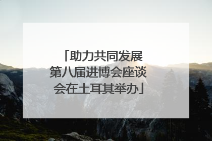 助力共同发展 第八届进博会座谈会在土耳其举办