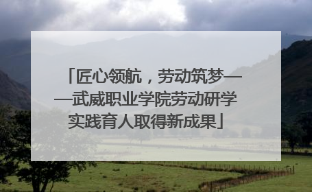 匠心领航，劳动筑梦——武威职业学院劳动研学实践育人取得新成果