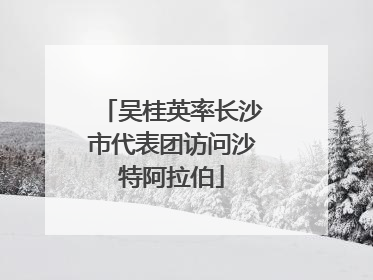 吴桂英率长沙市代表团访问沙特阿拉伯