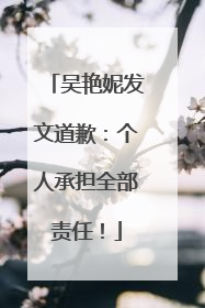 吴艳妮发文道歉：个人承担全部责任！