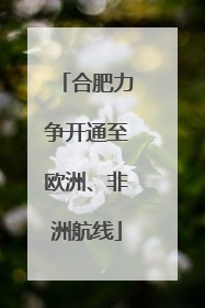 合肥力争开通至欧洲、非洲航线
