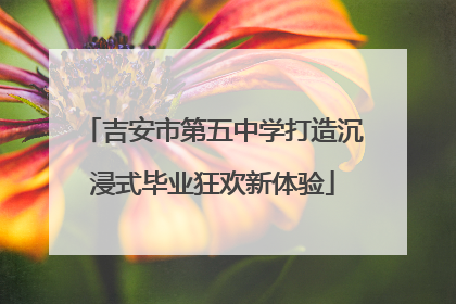 吉安市第五中学打造沉浸式毕业狂欢新体验