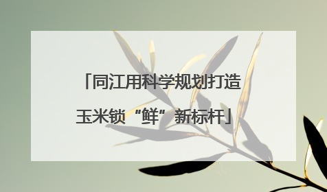 同江用科学规划打造玉米锁“鲜”新标杆