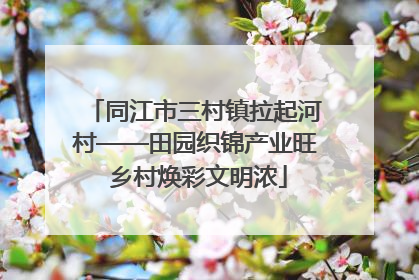 同江市三村镇拉起河村——田园织锦产业旺 乡村焕彩文明浓