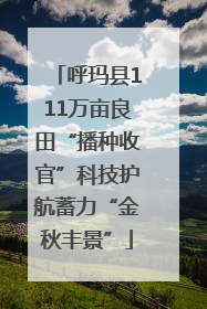 呼玛县111万亩良田“播种收官”科技护航蓄力“金秋丰景”