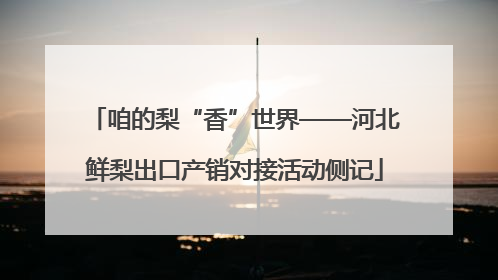 咱的梨“香”世界——河北鲜梨出口产销对接活动侧记