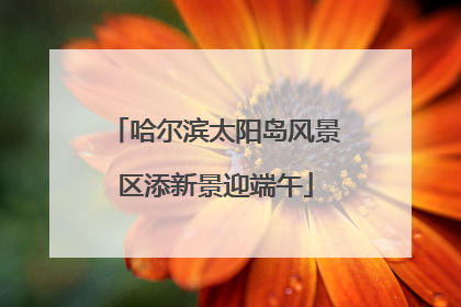 哈尔滨太阳岛风景区添新景迎端午