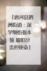唐河县泗洲街道：深学细悟强本领 履职尽责担使命
