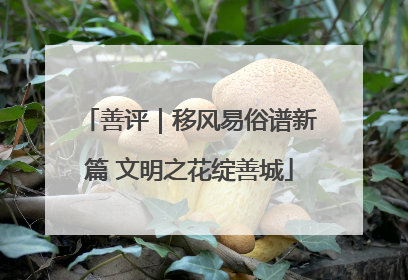 善评｜移风易俗谱新篇 文明之花绽善城