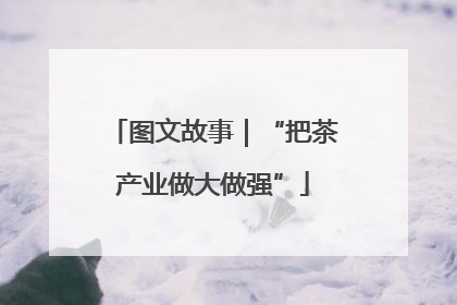 图文故事｜“把茶产业做大做强”