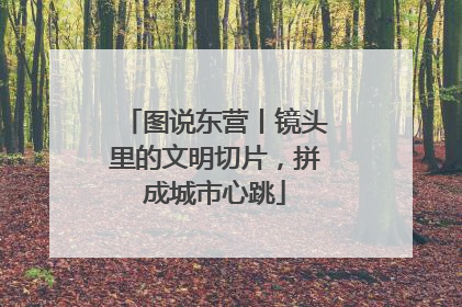 图说东营丨镜头里的文明切片，拼成城市心跳