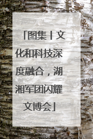 图集丨文化和科技深度融合，湖湘军团闪耀文博会
