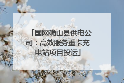 国网确山县供电公司：高效服务重卡充电站项目投运