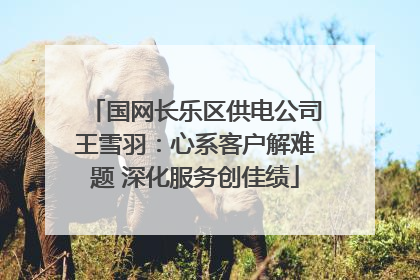 国网长乐区供电公司王雪羽：心系客户解难题 深化服务创佳绩