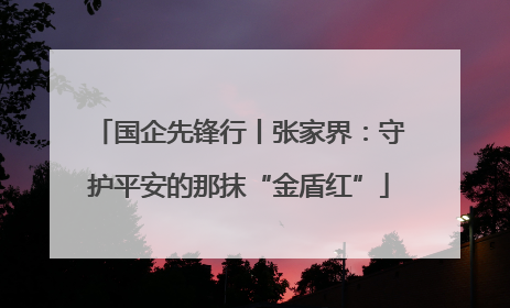 国企先锋行丨张家界:守护平安的那抹“金盾红”