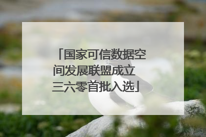 国家可信数据空间发展联盟成立 三六零首批入选