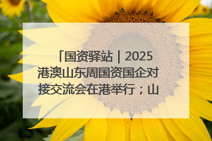 国资驿站｜2025港澳山东周国资国企对接交流会在港举行；山东黄金成功在境外发行3亿美元绿色债券