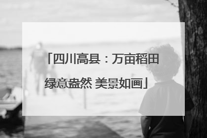 四川高县：万亩稻田绿意盎然 美景如画