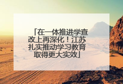 在一体推进学查改上再深化！江苏扎实推动学习教育取得更大实效