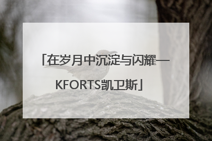 在岁月中沉淀与闪耀—KFORTS凯卫斯