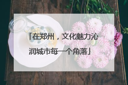在郑州，文化魅力沁润城市每一个角落