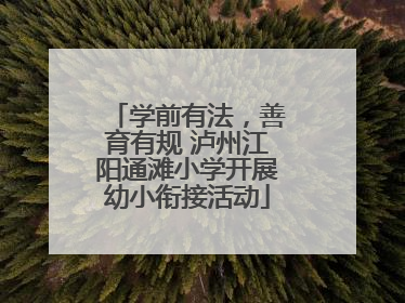 学前有法，善育有规 泸州江阳通滩小学开展幼小衔接活动