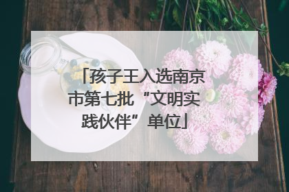 孩子王入选南京市第七批“文明实践伙伴”单位