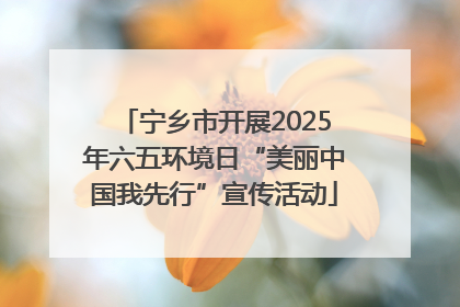 宁乡市开展2025年六五环境日“美丽中国我先行”宣传活动