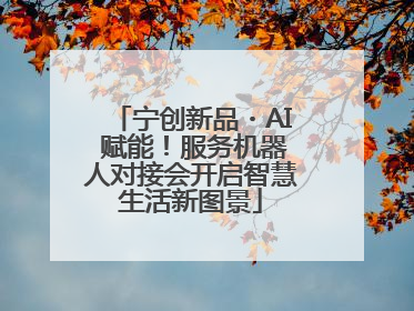 宁创新品・AI 赋能！服务机器人对接会开启智慧生活新图景