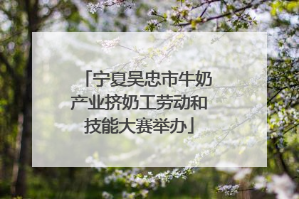 宁夏吴忠市牛奶产业挤奶工劳动和技能大赛举办