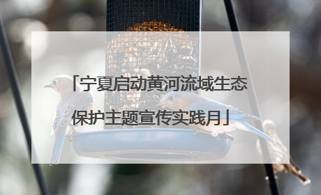 宁夏启动黄河流域生态保护主题宣传实践月