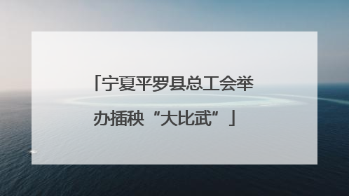 宁夏平罗县总工会举办插秧“大比武”