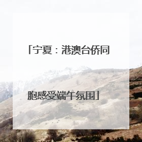 宁夏：港澳台侨同胞感受端午氛围