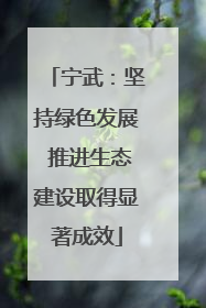 宁武：坚持绿色发展 推进生态建设取得显著成效