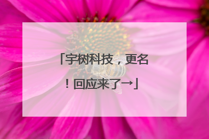宇树科技，更名！回应来了→