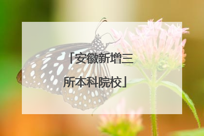 安徽新增三所本科院校
