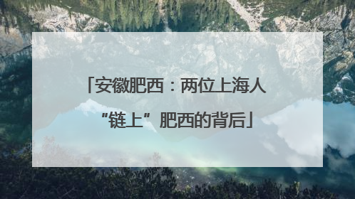 安徽肥西：两位上海人“链上”肥西的背后