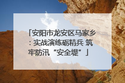 安阳市龙安区马家乡：实战演练砺精兵 筑牢防汛“安全堤”
