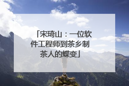 宋琦山：一位软件工程师到茶乡制茶人的蝶变