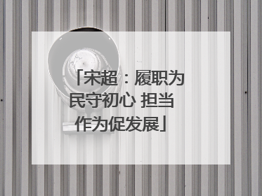 宋超：履职为民守初心 担当作为促发展