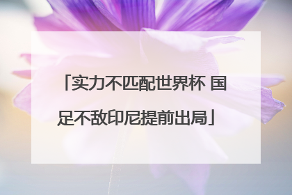 实力不匹配世界杯 国足不敌印尼提前出局