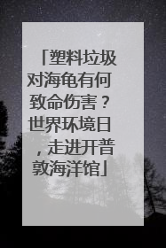 塑料垃圾对海龟有何致命伤害？世界环境日，走进开普敦海洋馆